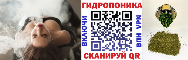 MEGA tor Хасавюрт Канабис семена
